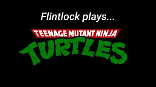 Teenage Mutant Metal Turtles [upl. by Irra]