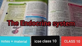 The Endocrine System Overview Animation [upl. by Isadora]