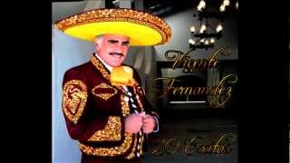 VICENTE FERNANDEZ EXITOS MIX [upl. by Janene727]