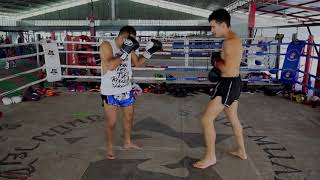 Muay Thai Basics  How to Throw a Muay Thai Teep Front and Rear [upl. by Sou]