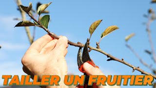 LA TAILLE DE FRUCTIFICATION DES FRUITIERS [upl. by Rivi]