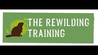 The Rewilding Training  Embercombe UK [upl. by Yaffit]