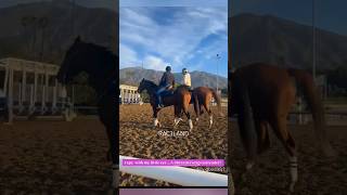 Breeders Cup 2024  Del Mar  RAC3LAND [upl. by Ettevets]