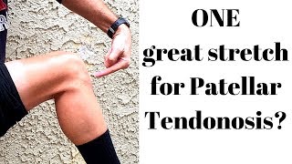 ONE perfect stretch for patellar tendonosis [upl. by Ario]