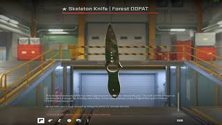 CS2 Skeleton Knife  Forest DDPAT WW Unbox [upl. by Attenyw]