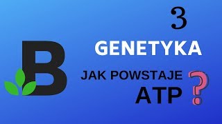 jak powstaje ATP  genetyka  KOREPETYCJE z BIOLOGII  190 [upl. by Gamali]