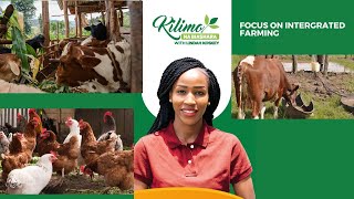 Focus On Integrated Farming  Kilimo na Biashara [upl. by Aisenat990]