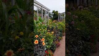 Botanical Garden in Gothenburg 🇸🇪🌼🌷🌼🌷Botaniska trädgård shorts minivlog nature [upl. by Zadoc]