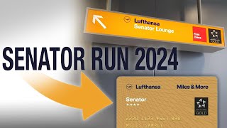 10 Strategien für einen Miles amp More Statuspunkte Run 2024 I SENATOR amp FREQUENT TRAVELLER [upl. by Abas]