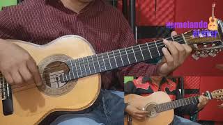 Flor de capomo instrumental  Requinto y guitarra  Carlos y José [upl. by Carisa]