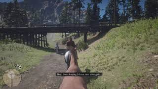 Red Dead Redemption 2 Belgian Draft And Piebald Tobiano Second Race Vs Nokota Early In Chapter 2 [upl. by Bithia]