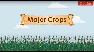 Major Crops [upl. by Amity837]