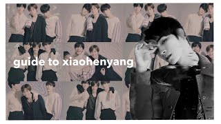 unHELPFUL GUIDE TO XIAOJUN HENDERY amp YANGYANG [upl. by Tiossem]