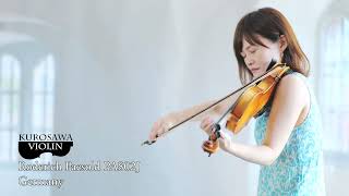 Roderich Paesold PA802J ローデリヒ・ペゾルト PA802J バイオリン紹介・演奏【Violinist：漆原直美】 [upl. by Aspasia]