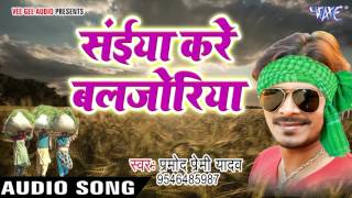 सुपरहिट चइता गीत  Pramod Premi  Saiya Kare  Luk Bahe Chait Me  Bhojpuri Chaita Songs [upl. by Leahcimauhsoj]