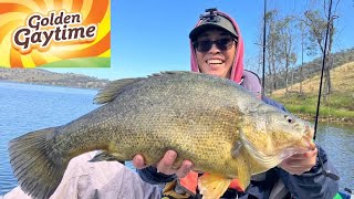 Golden Gaytime Cod and PB Perch Fishing at Windamere Dam [upl. by Monica232]