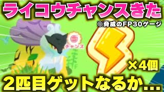 【バトル】ライコウ2匹目ゲットするぞぉぉぉおライコウサブレ4個で準備万端 [upl. by Godfrey]