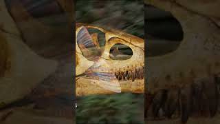 Le specie di sinapsidi documentario terra dinosauri [upl. by Adanar]