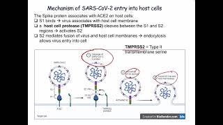 Lecture 9 Vaccines and Immunization [upl. by Geralda]