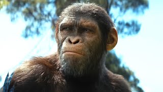 KINGDOM OF THE PLANET OF THE APES Ending Explained Full Movie Breakdown [upl. by Eckardt176]