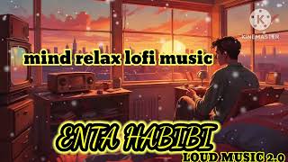 ENTA HABIBI  Mind relax lofi song2024slow and reverbmind fresh lofi song loudmusic20 [upl. by Ullund]