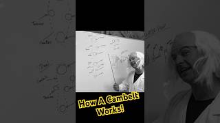 How does a cambelt work How often should you change it Full episode is now live [upl. by Ruffin252]