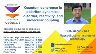 Quantum coherence in polariton dynamics vibrational coupling reactivity and disorder [upl. by Helbonnas]