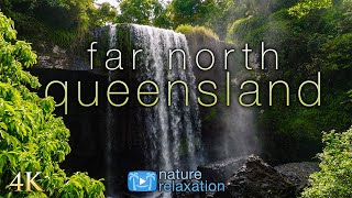 4K Far North Australia Queensland Rainforests to Great Barrier Reef 1HR Nature Relaxation Film [upl. by Caras]