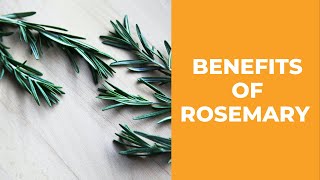 Rosemary Baths Recipe and Rosemary Healing Benefits 2022 [upl. by Okia]