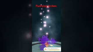 Purification of archen pokemon pokemongo [upl. by Adnar312]