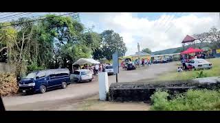 Voting at Boscobel Primary in St Mary Jamaica 🇯🇲 22624 [upl. by Selina391]