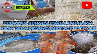 BUDIDAYA IKAN NILA BIOFLOK  Berawal dari 2 Buah Kolam  Sekarang Sudah Menjadi 20 Kolam [upl. by Arimas]