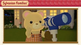 Stargazing Learning About Stars  Sylvanian Families Movie [upl. by Areem323]