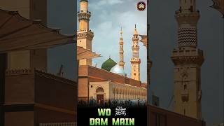 Nabi ﷺ Mukhtare kull hai Naat Status [upl. by Necyla]