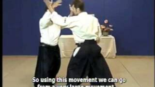 Special Aikido demonstration by Christian Tissier Shihan [upl. by Aiclef]