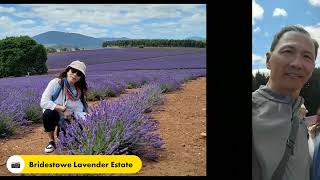 20231217 Cataract Gorge amp Bridestowe Lavender Estate [upl. by Tebasile]