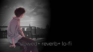 Tu shayar banagi ye  parry  slowed and Reverb  Panjabi sad song [upl. by Stanwood]