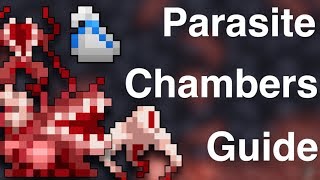 RotMG  Parasite Chambers Guide [upl. by Kennie831]