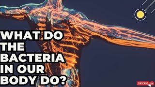 What Do The Bacteria In Our Body Do  bacteria anatomy newvideo [upl. by Rosio]