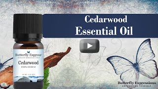 Cedarwood Essential Oil [upl. by Jat]