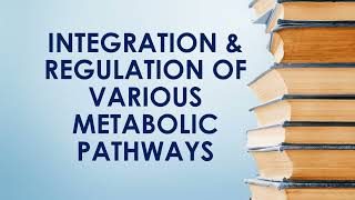 Integration of Metabolism  2nd Year MBBS  Lecture 02 [upl. by Sexela]