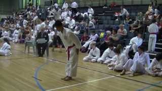 Kata BassaDai by GKR Karate National Tournament 2011 Gold Medal Winner [upl. by Aihseyt]