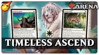 Can we go WIDE amp BIG in Timeless  12 Rares  MTG Arena [upl. by Tor]