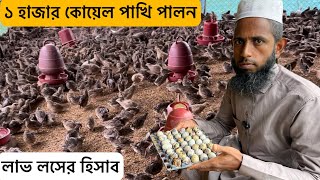 ১ হাজার কোয়েল পাখি পালন লাভ লসের হিসাব  koyel pakhi palan  Quail bard farming in Bangladesh [upl. by Plath]