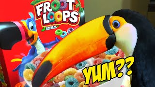 Real Toucan Tries Froot Loops for the First Time [upl. by Chernow]