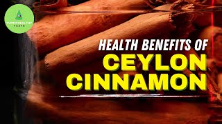 The Health Benefits of CEYLON CINNAMON You Should Know [upl. by Haughay]