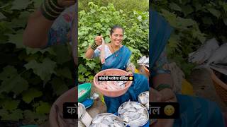 Prawns stuffed Bombil😋 prawns fish food trending recipe agrikoli cooking diwali india [upl. by Name]