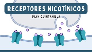 RECEPTORES NICOTÍNICOS Estimulantes y Bloqueantes Ganglionares  Farmacología [upl. by Carmelina]