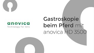 Gastroskopie beim Pferd mit anovica HD 3500 [upl. by Shannon]