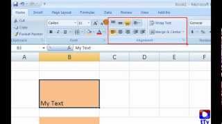 Excel  Alignment Merge Unmerge amp Wrap Text [upl. by Nibor]